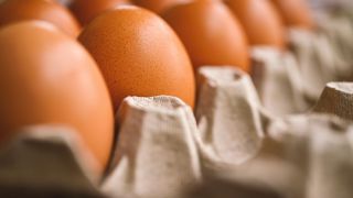 90 % des pertes liées aux destructions d'oeufs dans les zones réglementées mises en place entre le 16 septembre 2022 et le 31 juillet 2023 pourront être indemnisées. 90 % des pertes liées aux destructions d'oeufs dans les zones réglementées mises en place entre le 16 septembre 2022 et le 31 juillet 2023 pourront être indemnisées.